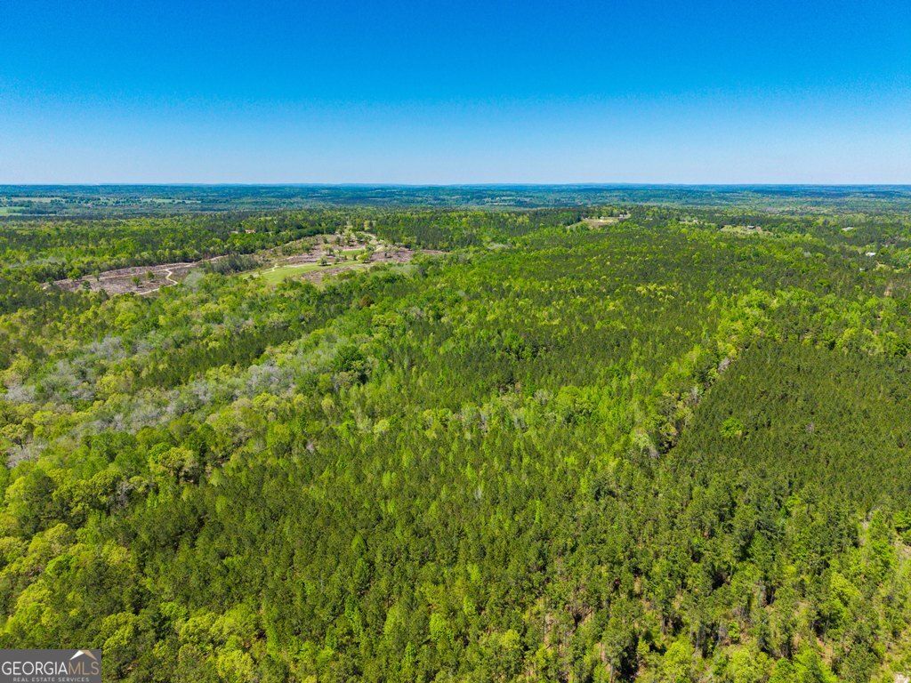 Photo of 0 Wainwright Road, Butler, GA 31006 (MLS # 10732106)