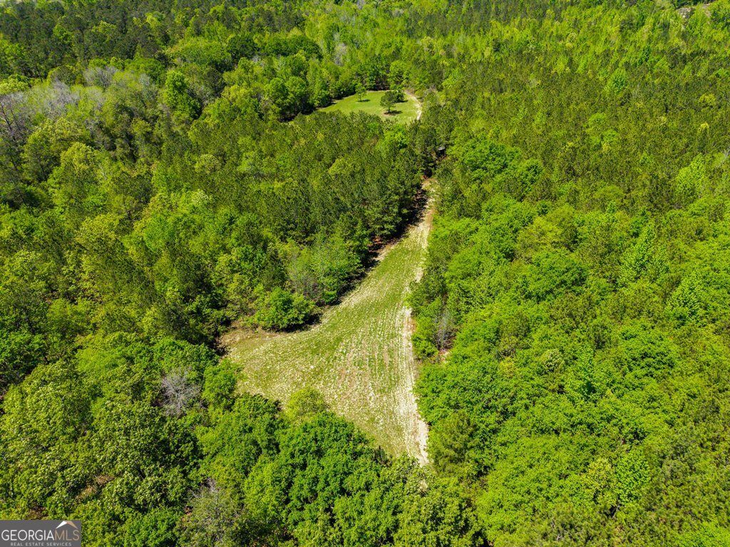 Photo of 0 Wainwright Road, Butler, GA 31006 (MLS # 10732106)