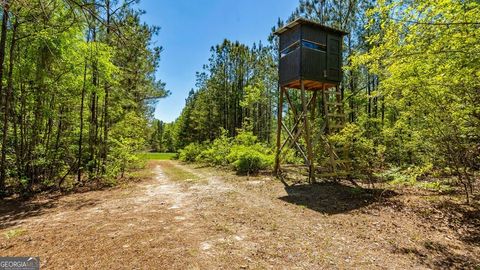 Photo of 0 Wainwright Road, Butler, GA 31006 (MLS # 10732106)