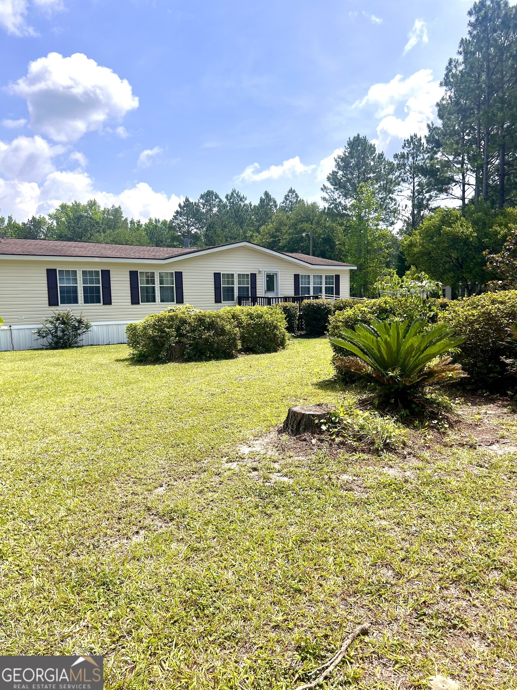 2019 Scharie LN