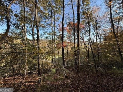 0 OV Justus RD Rabun Gap GA 30568