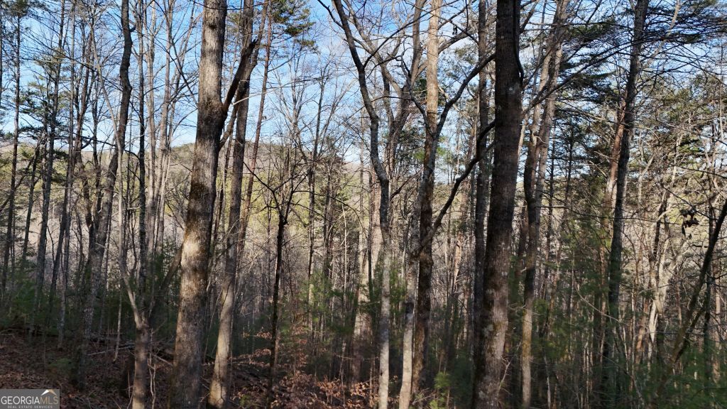 Photo of 00 Gold Valley Road, Sautee Nacoochee, GA 30571 (MLS # 10678388)