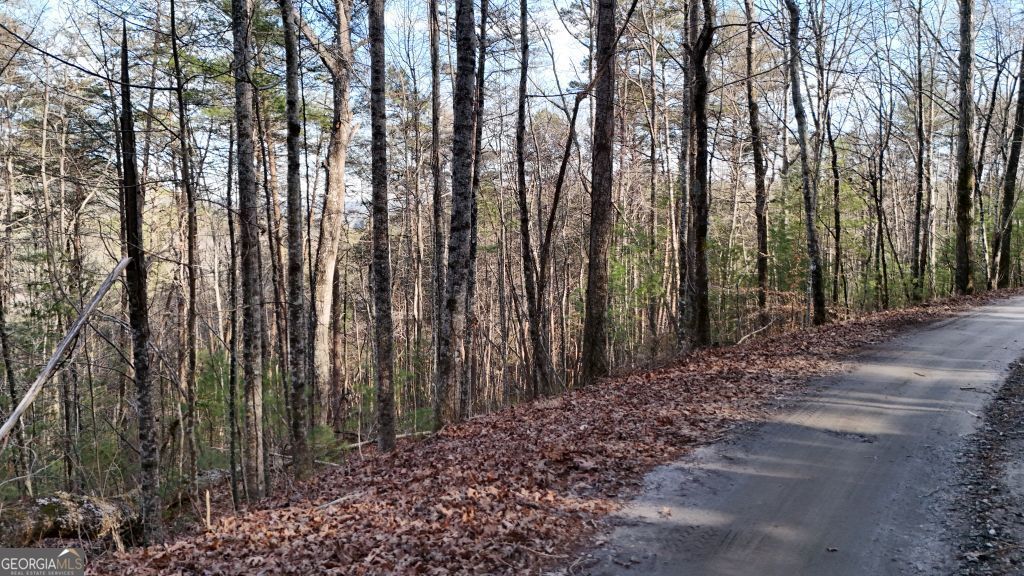 Photo of 00 Gold Valley Road, Sautee Nacoochee, GA 30571 (MLS # 10678388)