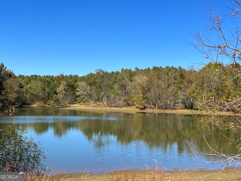 Agriculture in Calhoun Falls SC 1008 Seneca Street.jpg