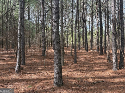 Photo for L2 Keysville-Boggs Academy RD