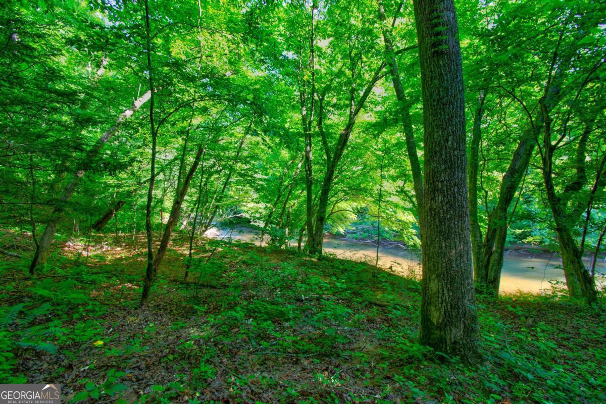 5.31 Tom Bell Odom RD