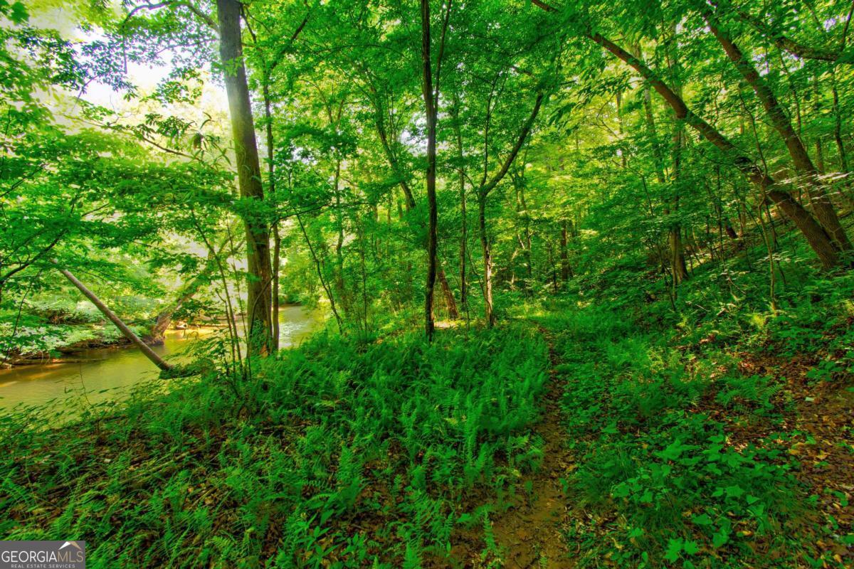 5.31 Tom Bell Odom RD