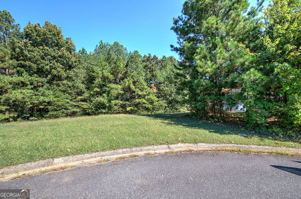 Photo of 58 Ferguson Drive, Euharlee, GA 30145 (MLS # 10620349)