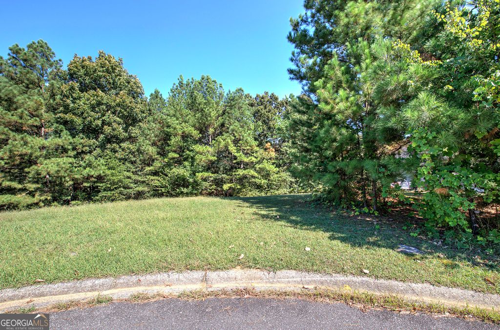 Photo of 58 Ferguson Drive, Euharlee, GA 30145 (MLS # 10620349)