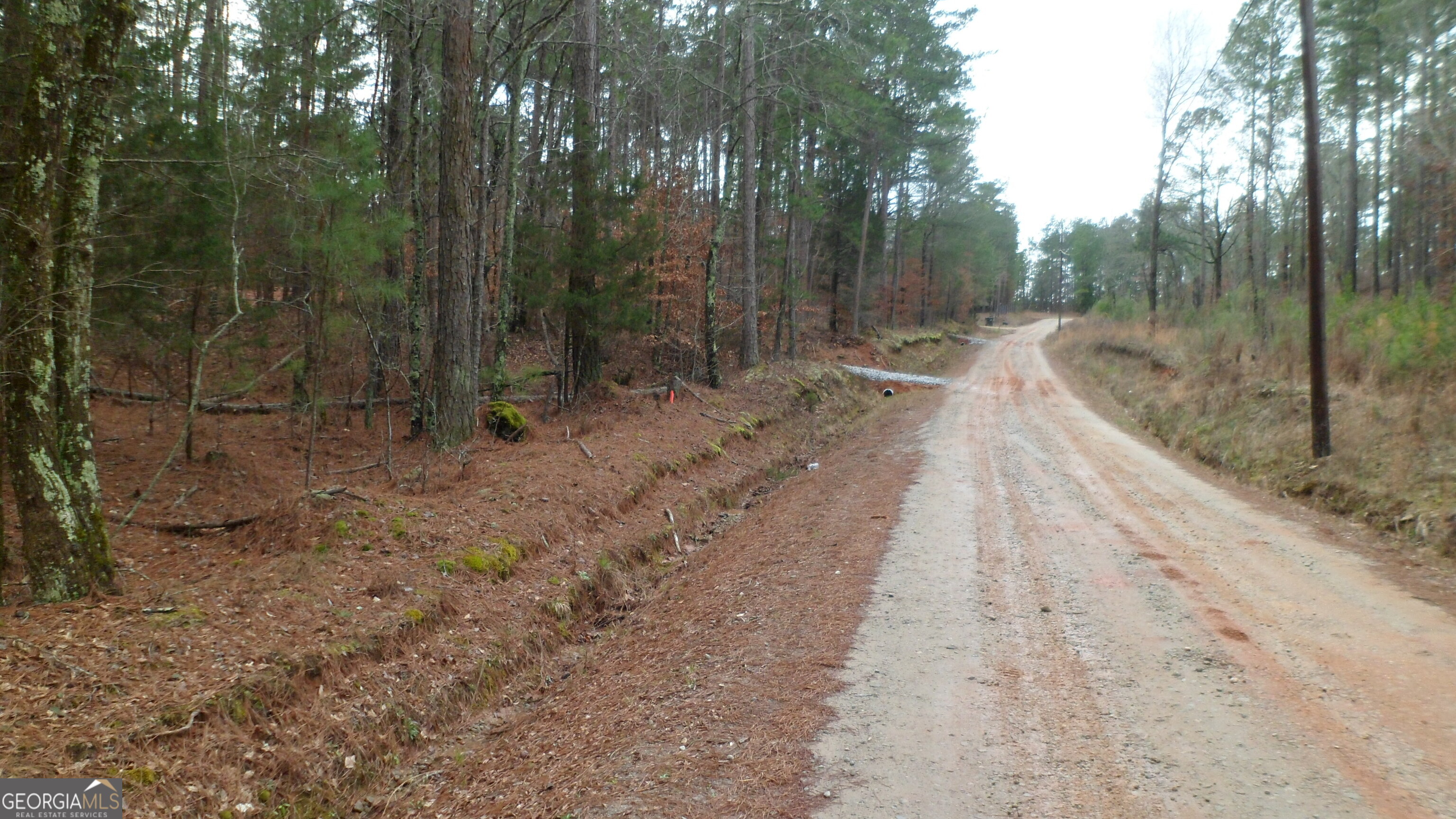 2 BUILDING LOTS BUY 1 OR BOTH ! EACH LOT 1.20 + ACRES .... ELBERT CO SAYS OK TO BUILD ON, ONCE BUILDING PERMIT IS APPROVED !! PERK TEST DONE ,, NEW SURVEY ,, DRIVEWAYS PUT IN ,.. NO MOBILE HOMES // ONLY STICK BUILT......CALL DENNIS FOR MORE INFO 404-271-8875 OWNER AGENT ......