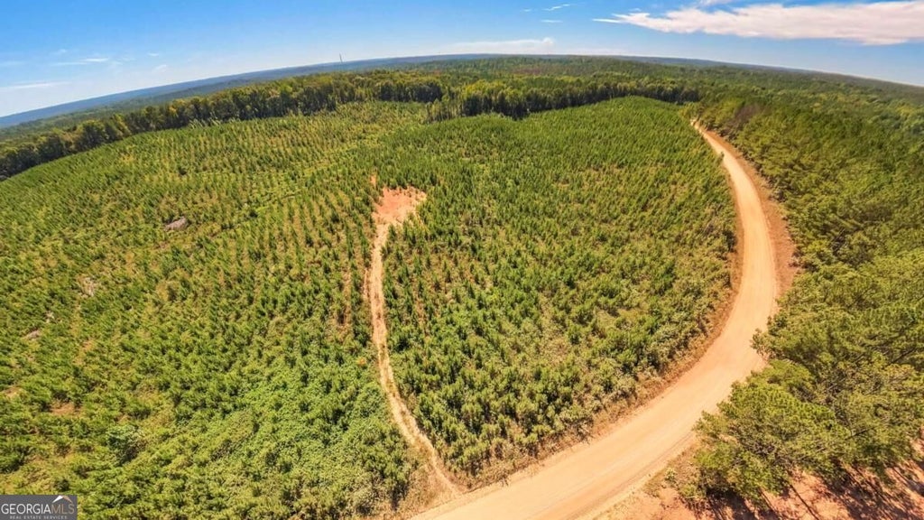 Photo of 0 Hutcheson Ferry Road, Whitesburg, GA 30185 (MLS # 10855962)
