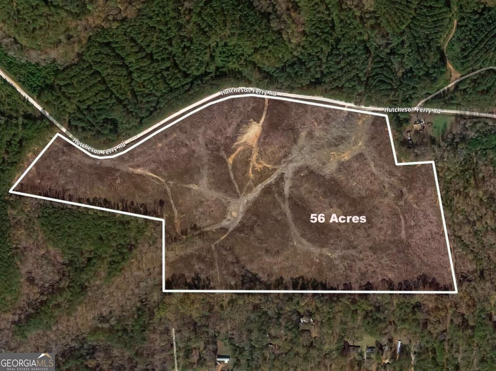 Photo of 0 Hutcheson Ferry Road, Whitesburg, GA 30185 (MLS # 10855962)