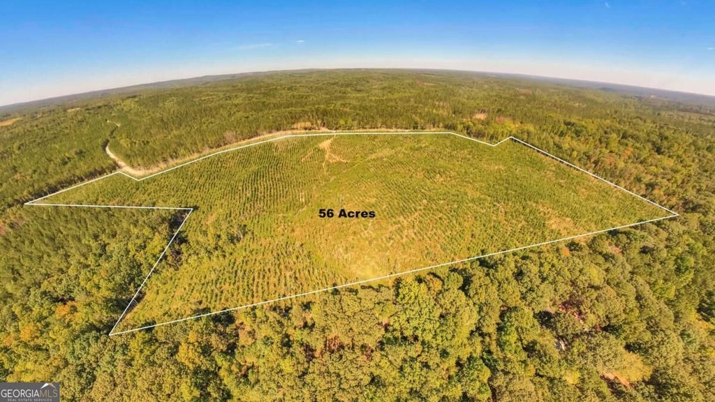 Photo of 0 Hutcheson Ferry Road, Whitesburg, GA 30185 (MLS # 10855962)