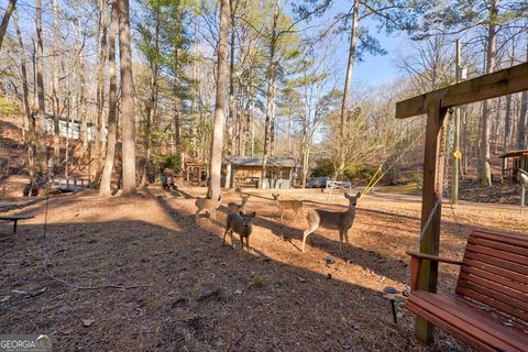 A home in Ellijay