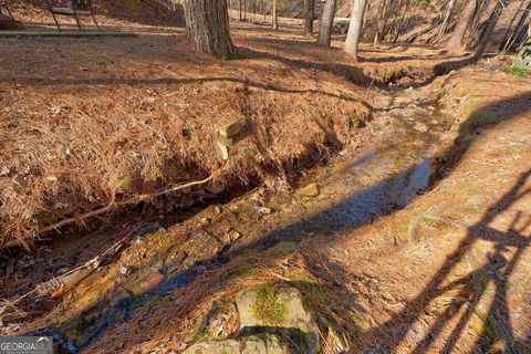 A home in Ellijay