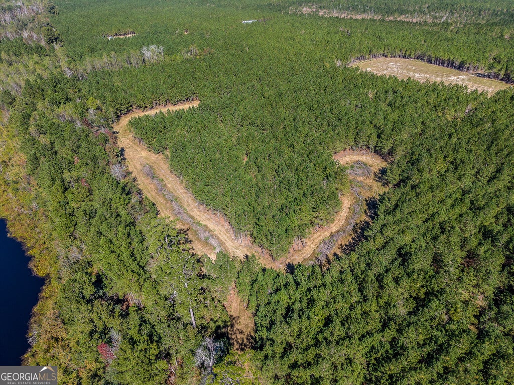 Photo of 0 Sanderling Road, Alma, GA 31510 (MLS # 10881060)