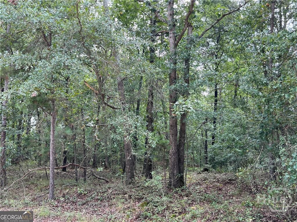 Photo of 0 Lake Deerfield Rd, Hull, GA 30646 (MLS # 10694744)