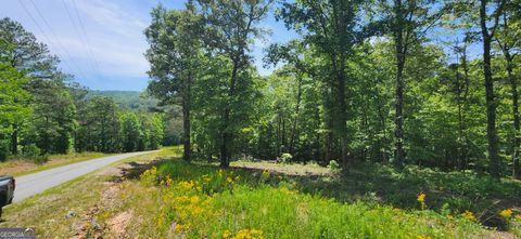 Photo of 90 Barrel Knot Court, Ellijay, GA 30536 (MLS # 10766183)