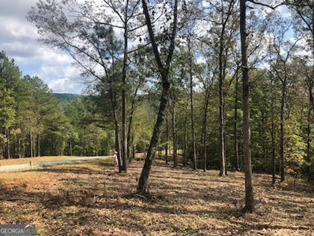 Photo of 90 Barrel Knot Court, Ellijay, GA 30536 (MLS # 10766183)