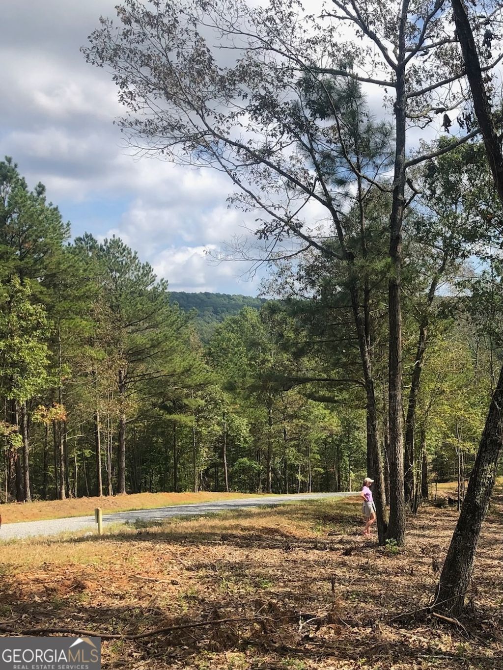 Photo of 90 Barrel Knot Court, Ellijay, GA 30536 (MLS # 10766183)