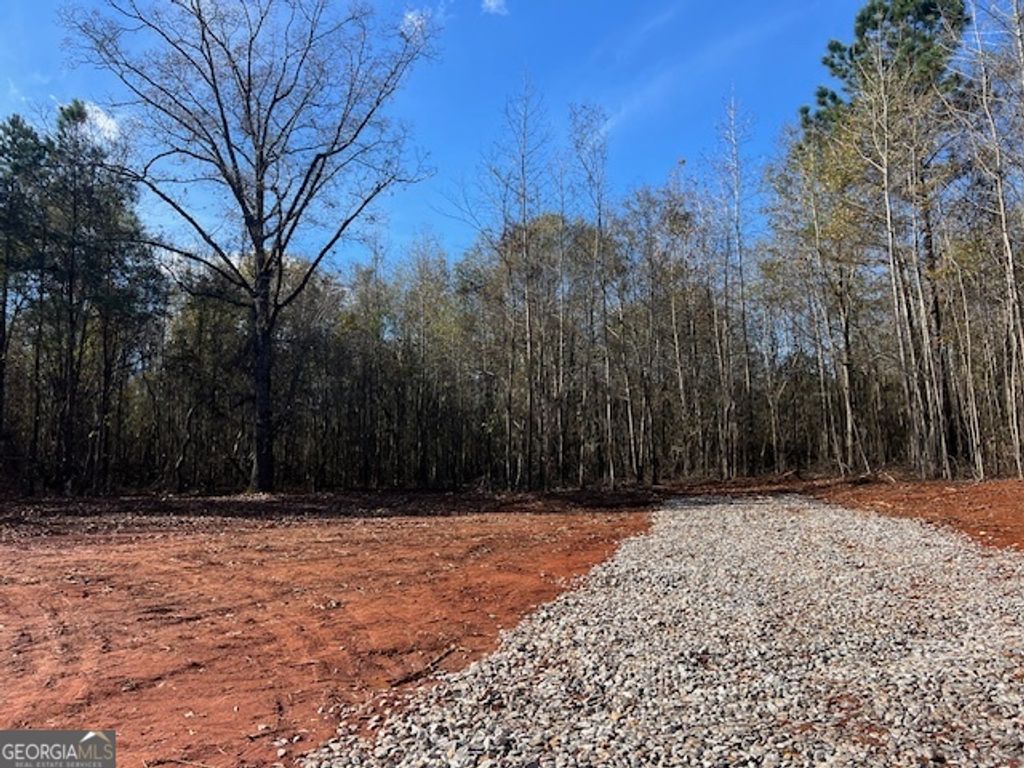 Photo of 146 Berry Road, Barnesville, GA 30204 (MLS # 10649986)