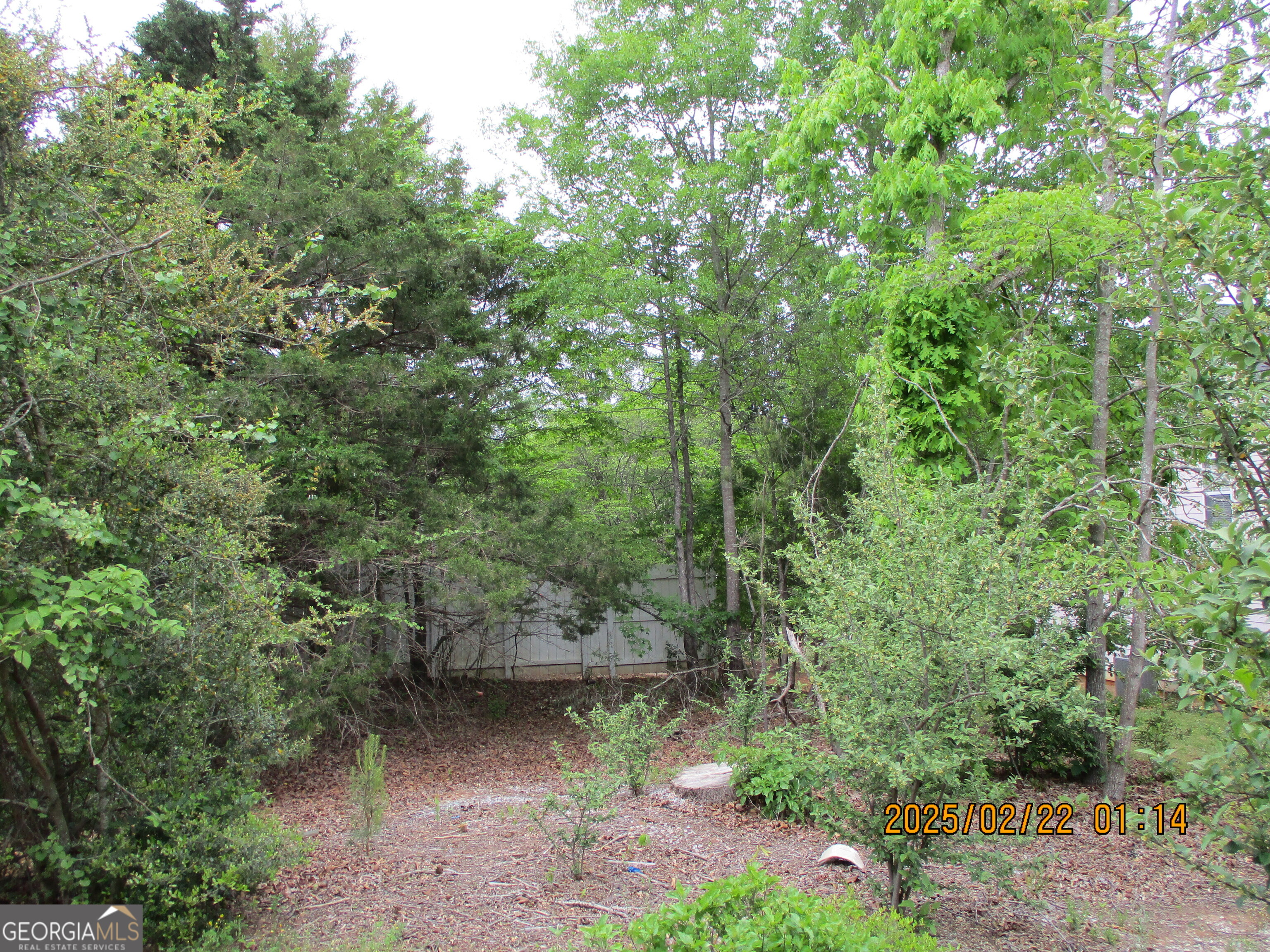 Athens, Georgia 30605, United States, 5 Bedrooms Bedrooms, ,3 BathroomsBathrooms,Residential,Active,114538