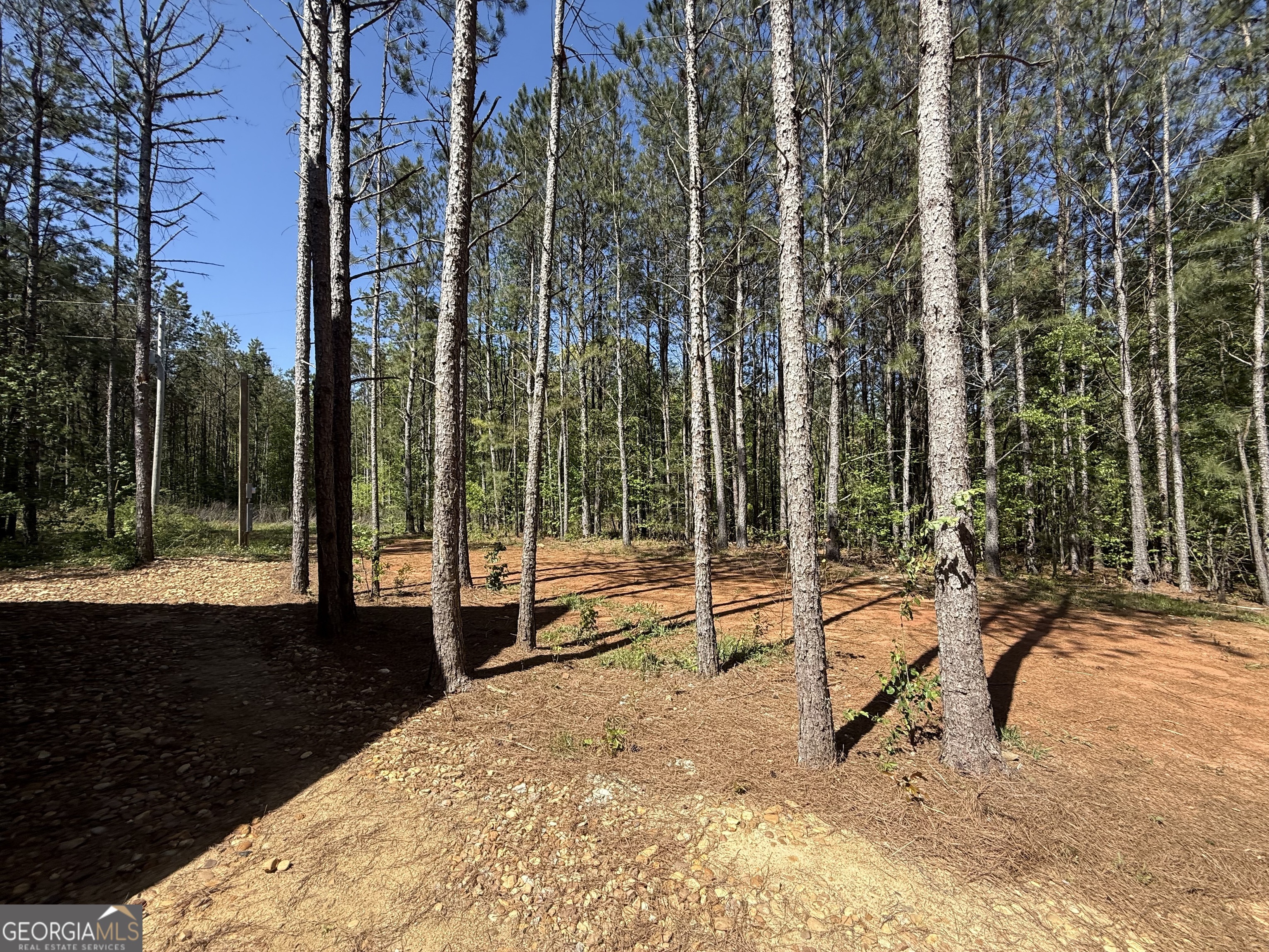 1926 County Rd 621