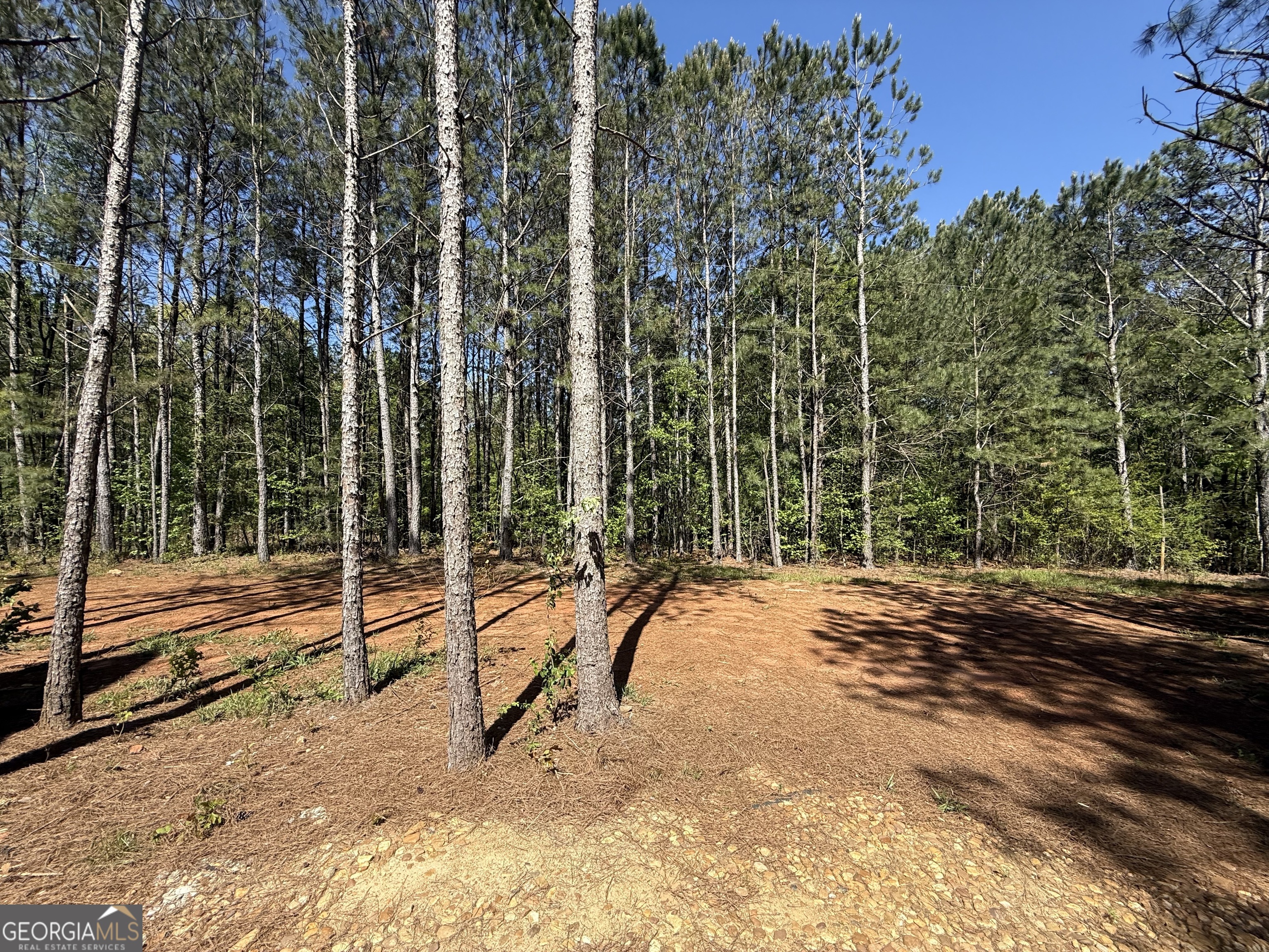 1926 County Rd 621