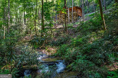 Photo of 122 Laurel Creek Trail, Cherry Log, GA 30522 (MLS # 10673850)