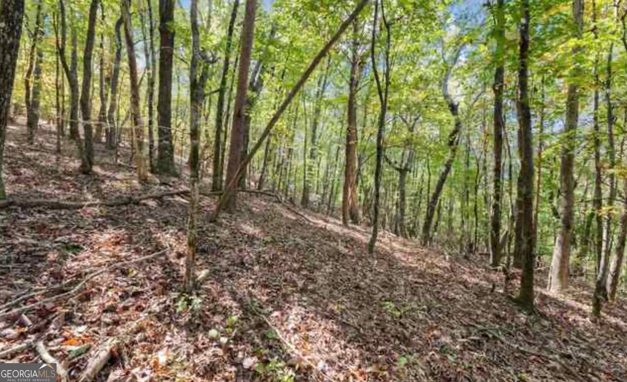 LOT 24 Luther Palmer RD