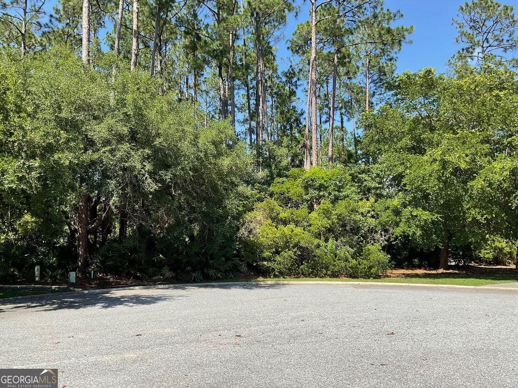 Photo of 465 Millers Branch Drive, Saint Marys, GA 31558 (MLS # 10767603)