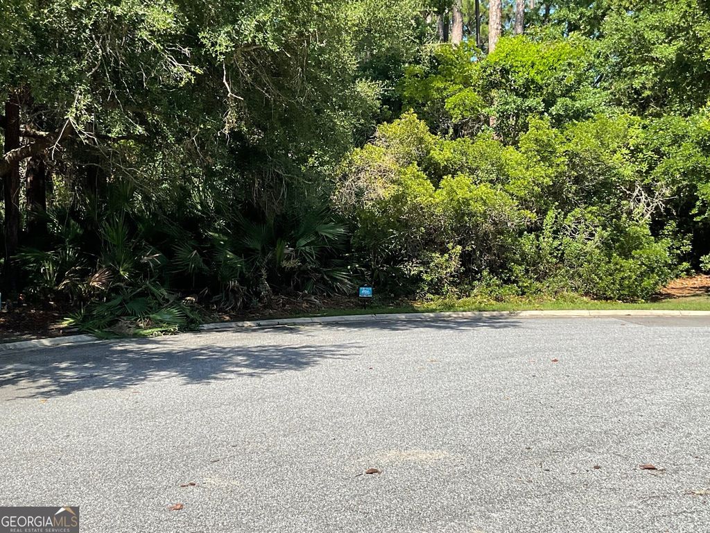 Photo of 465 Millers Branch Drive, Saint Marys, GA 31558 (MLS # 10767603)