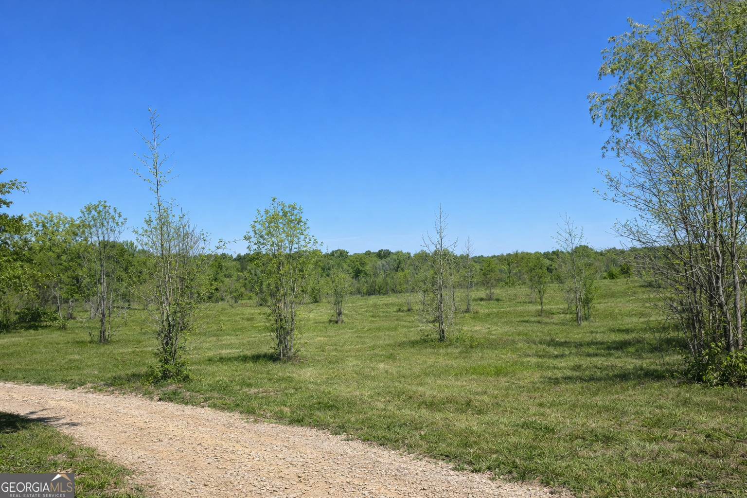 1590 Buttermilk RD SW