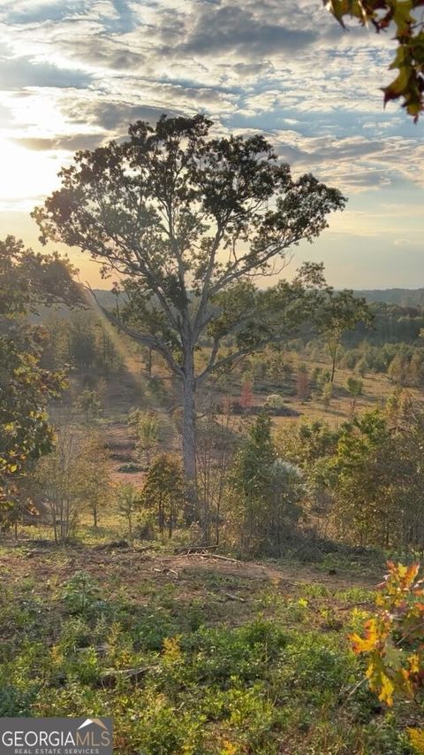 Photo of 1590 Buttermilk Road SW, Cave Spring, GA 30124 (MLS # 10676586)