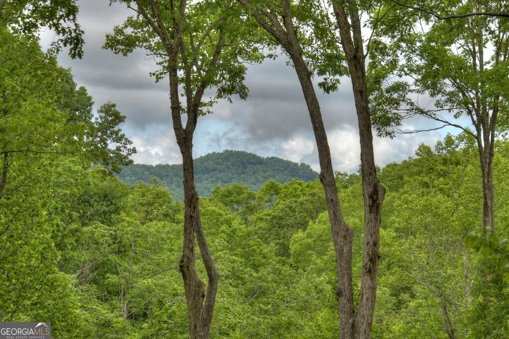 244 Wilderness WAY