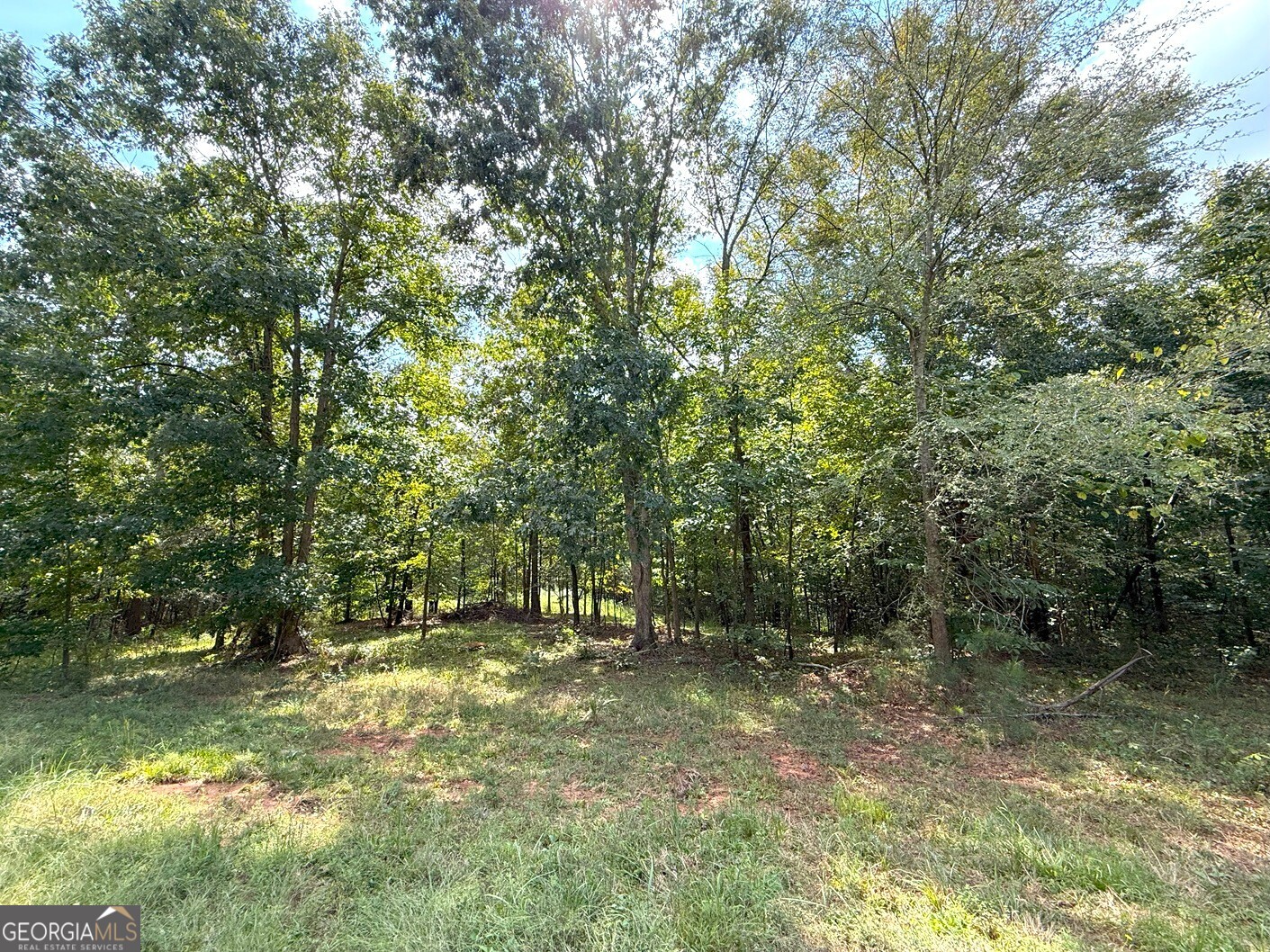 1049 Jaybird LN