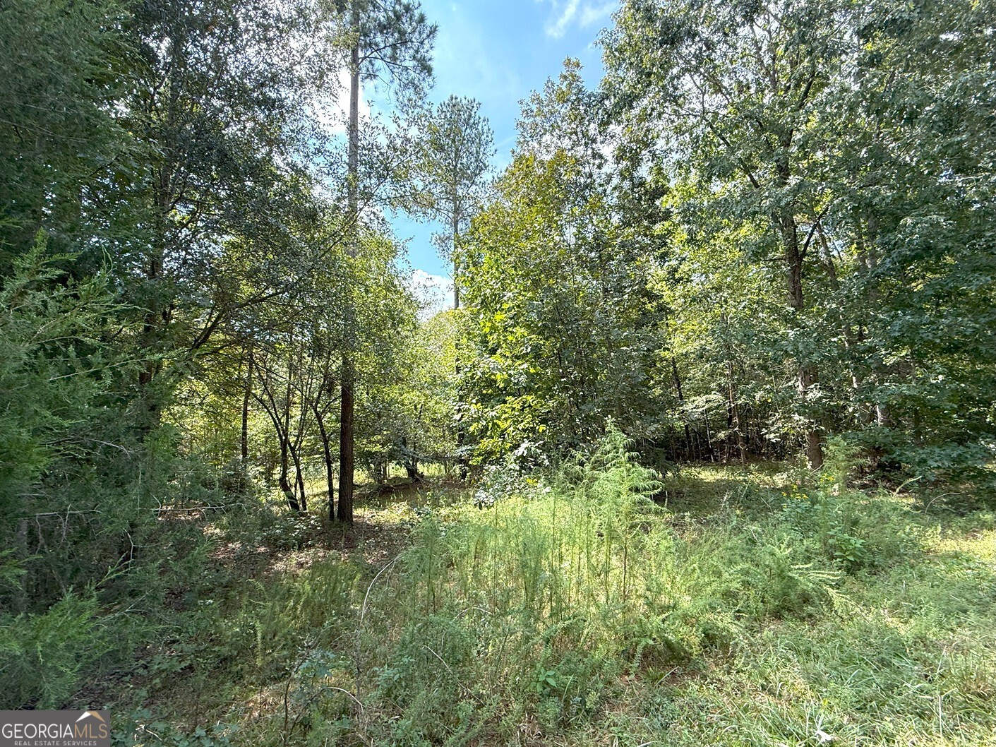 1049 Jaybird LN