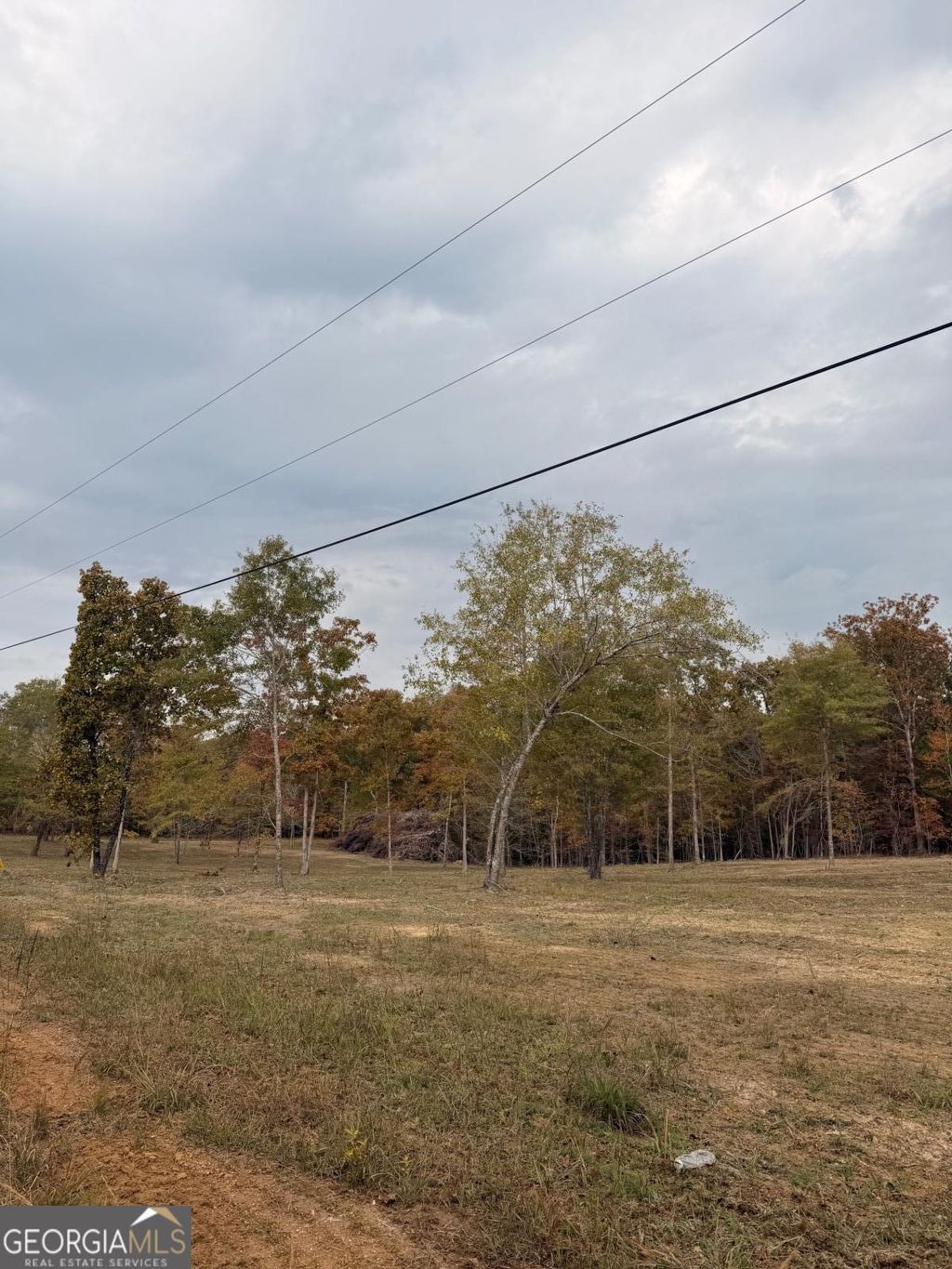 Photo of 0 Melson, Cave Spring, GA 30124 (MLS # 10761447)