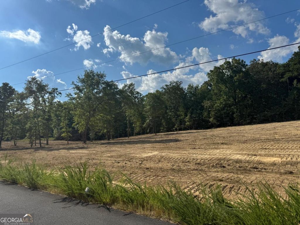 Photo of 0 Melson, Cave Spring, GA 30124 (MLS # 10761447)