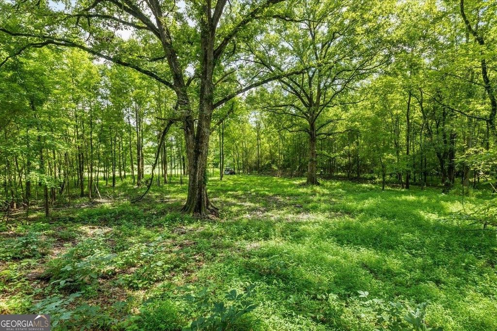 Photo of 0 Creekview Drive, Madison, GA 30650 (MLS # 10731222)