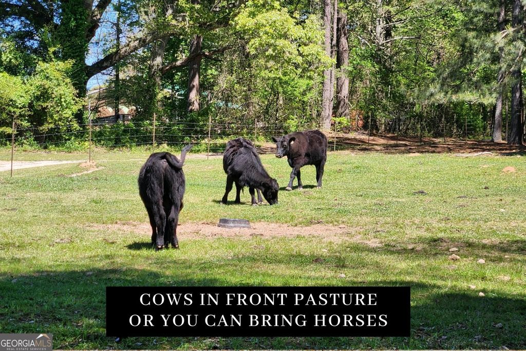 Photo of 278 Malone Road, Fayetteville, GA 30215 (MLS # 10741380)