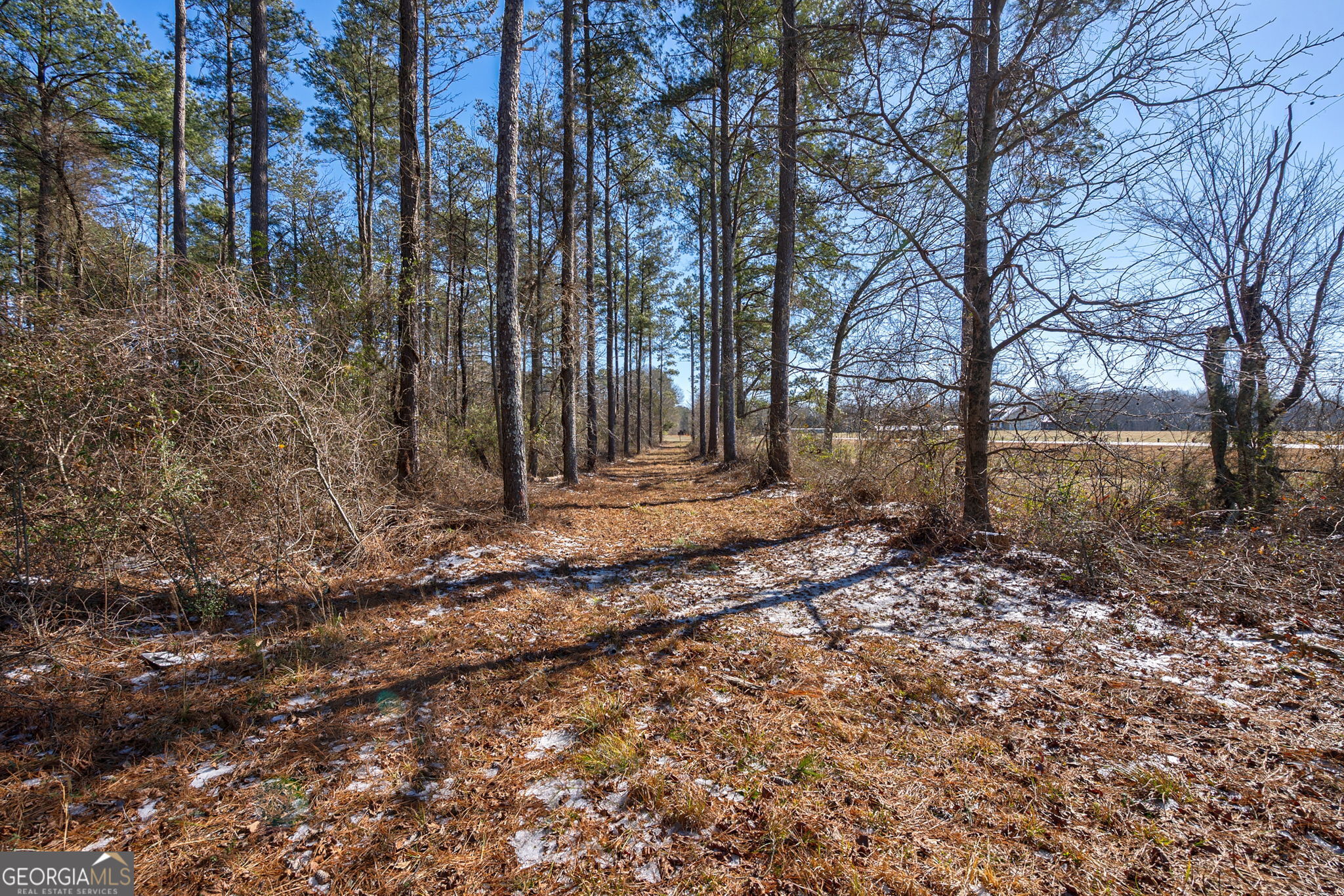 2841 Cole Springs RD