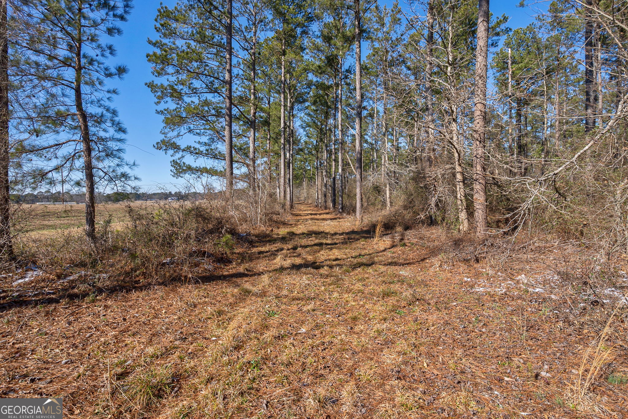 2841 Cole Springs RD