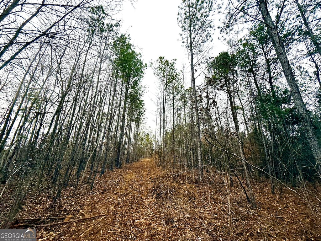 Photo of 14 Turning Point Way, Elberton, GA 30635 (MLS # 10682667)