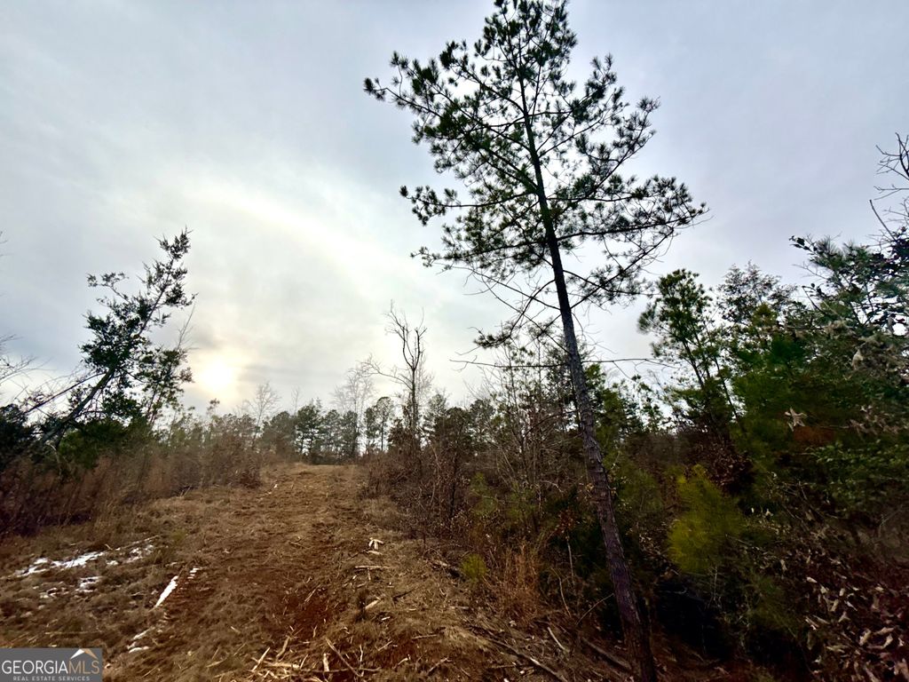 Photo of 14 Turning Point Way, Elberton, GA 30635 (MLS # 10682667)