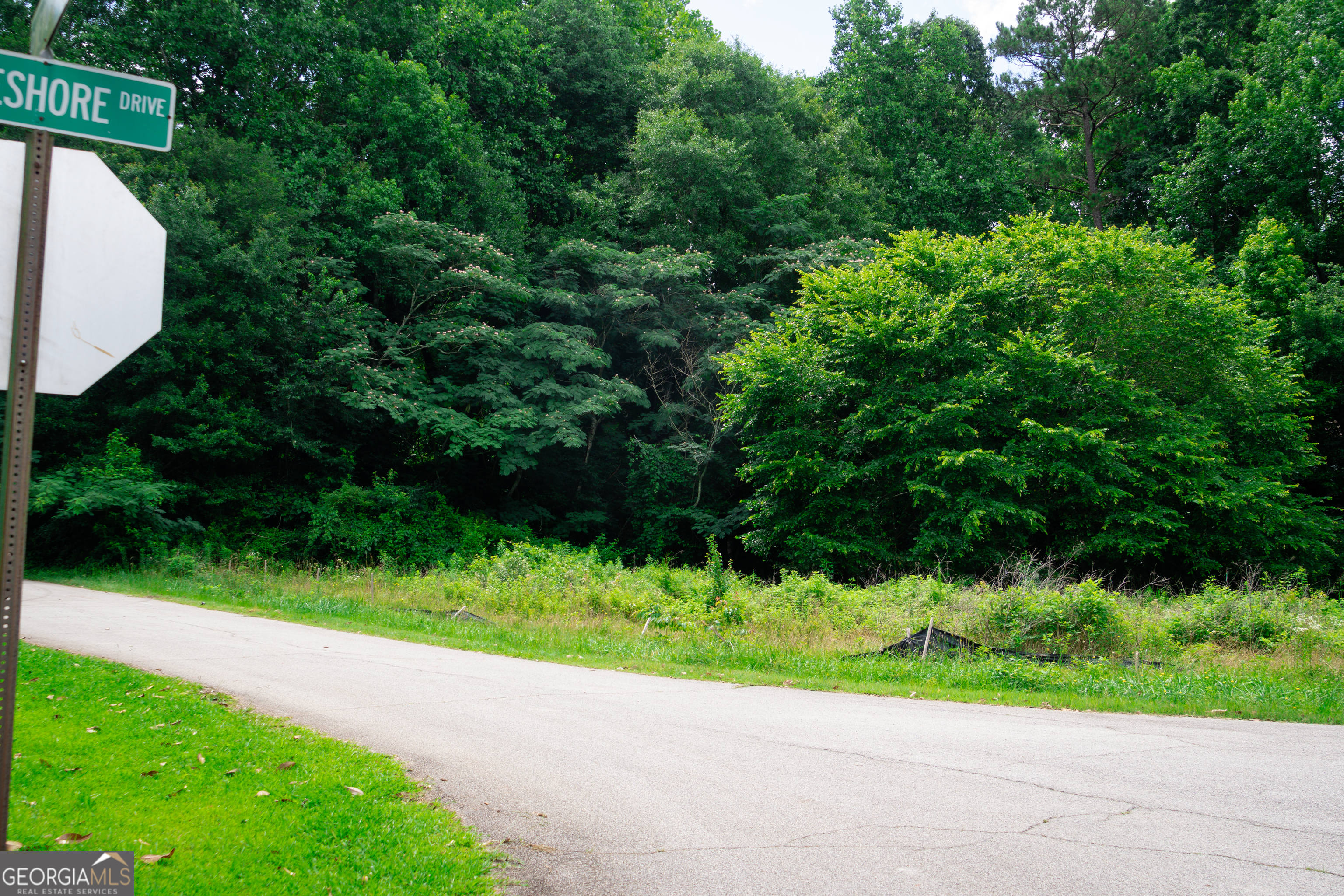 Beautiful corner land lot with views of Swan Lake. Electric, water, phone, cable, gas all available. This beautiful lot is zone for Woodland schools. Enjoy country living with quick access to multiple interstates- be downtown in 20 minutes.