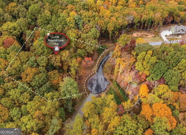 0 (LOT 60) Waterfall LN