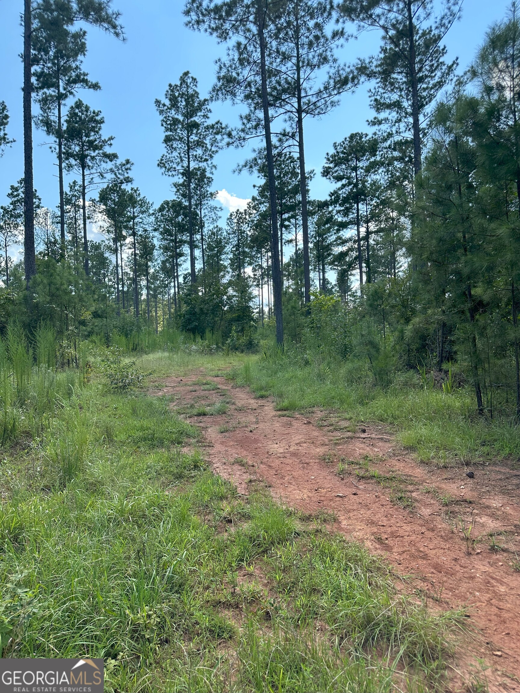 2470 Fears RD