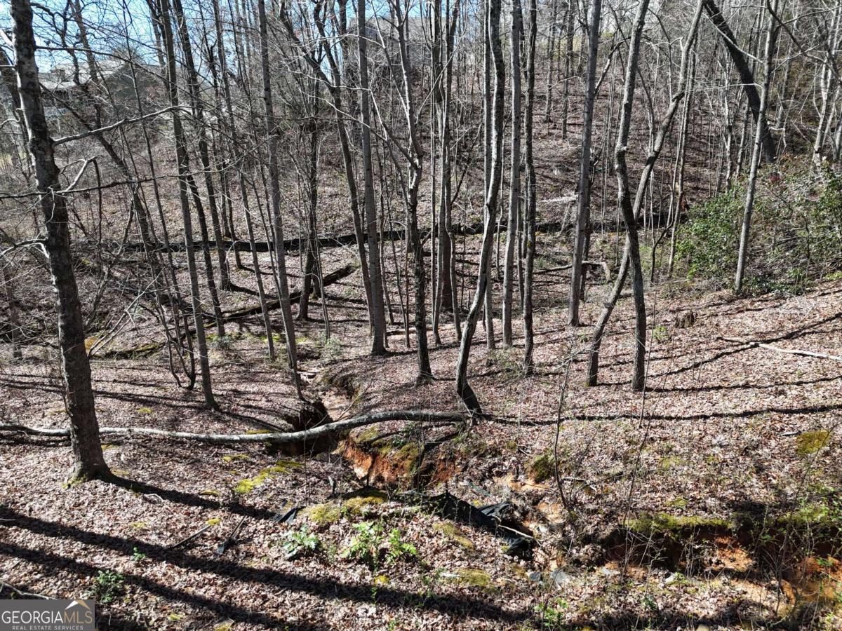 Blue Ridge Village - Land