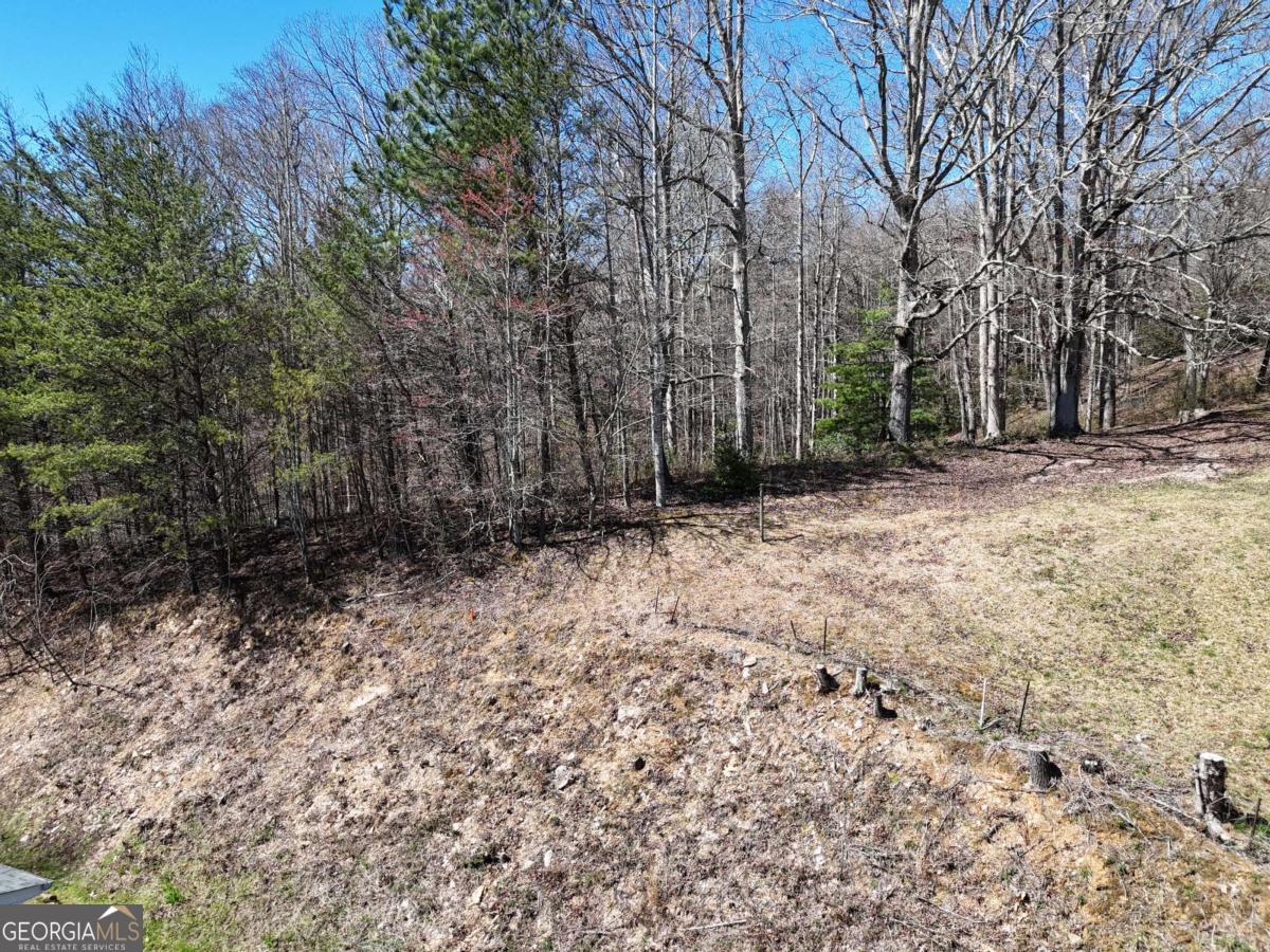 Blue Ridge Village - Land